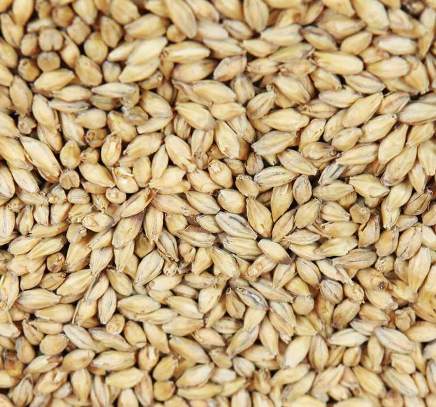 köpa malt och humle köpa malt och humle